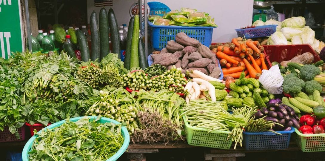 GreenHarvest Veg Co 7