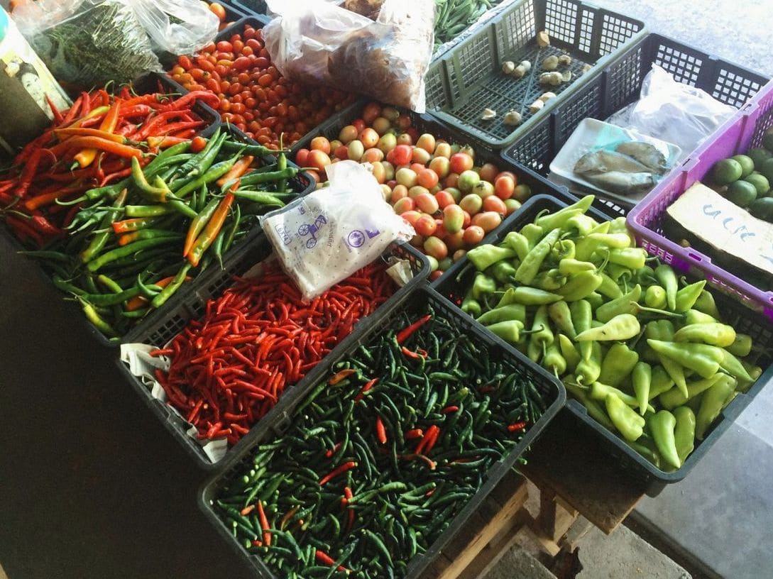 GreenHarvest Veg Co 8