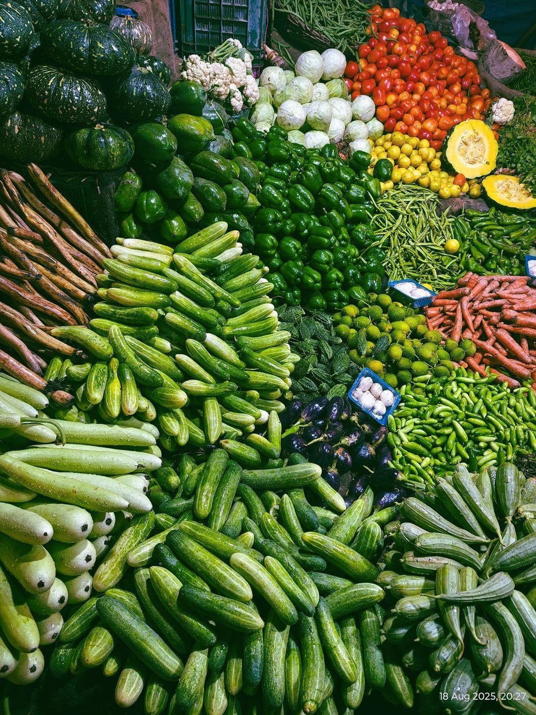 Plant, tend, and monitor crop growth